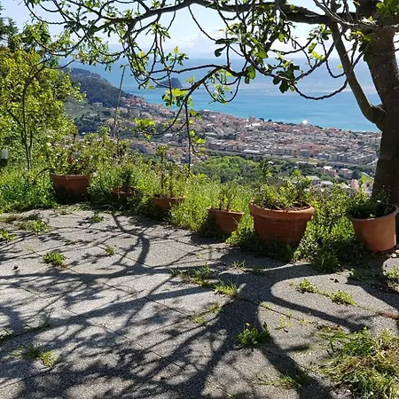 La Casa Di Enzo *